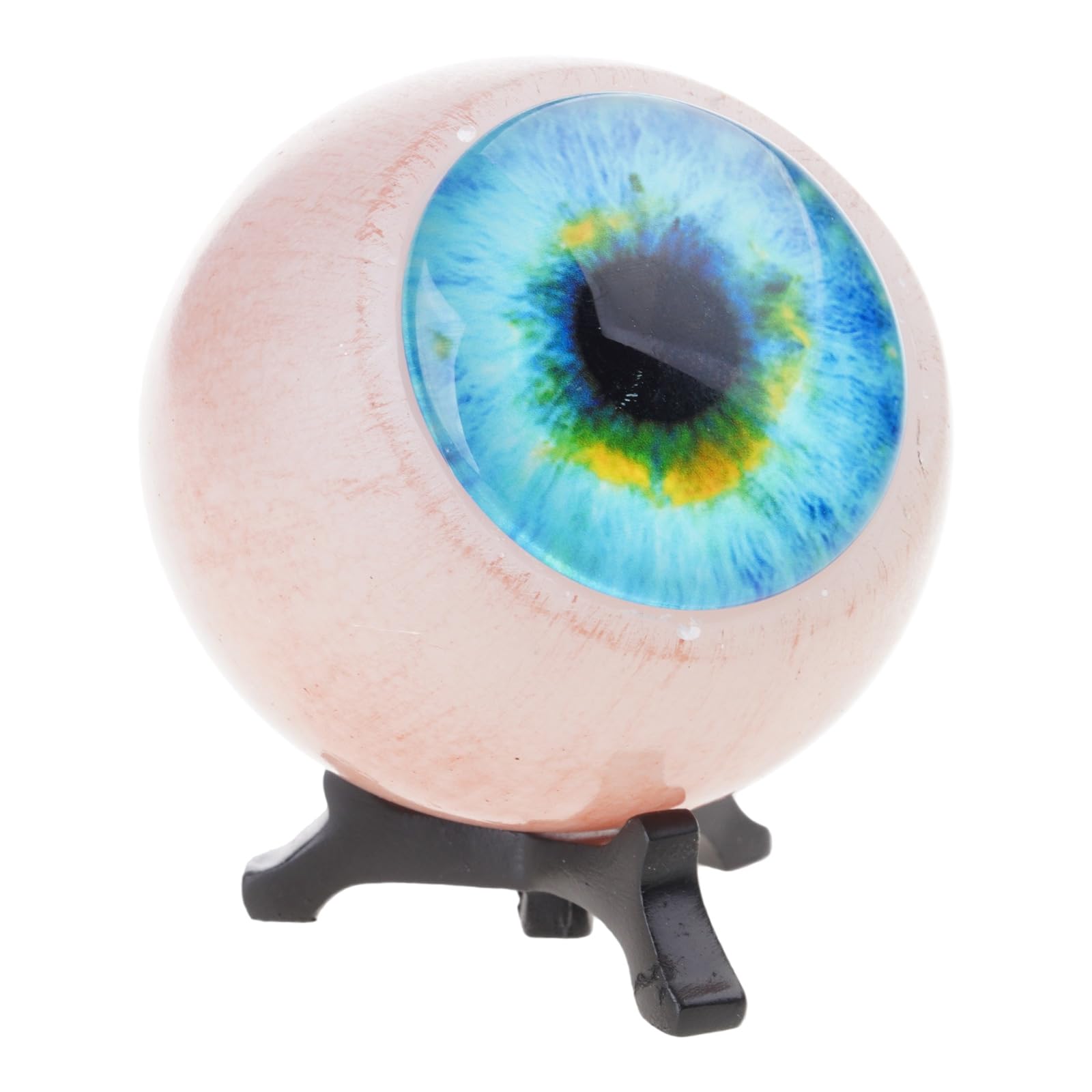 Vdaxvme Horror Eyeballs Sculpture Realistic Monsters Eye Ornament Gothics Decor for Party Scary Realistic Eyeballs Ornament