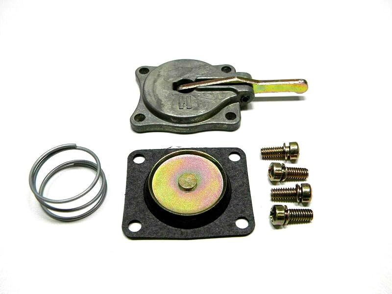 Kit da bomba de aceleração 30 cc para carburador Holley 2300, 4150, 4160 e 4500 – 1 kit