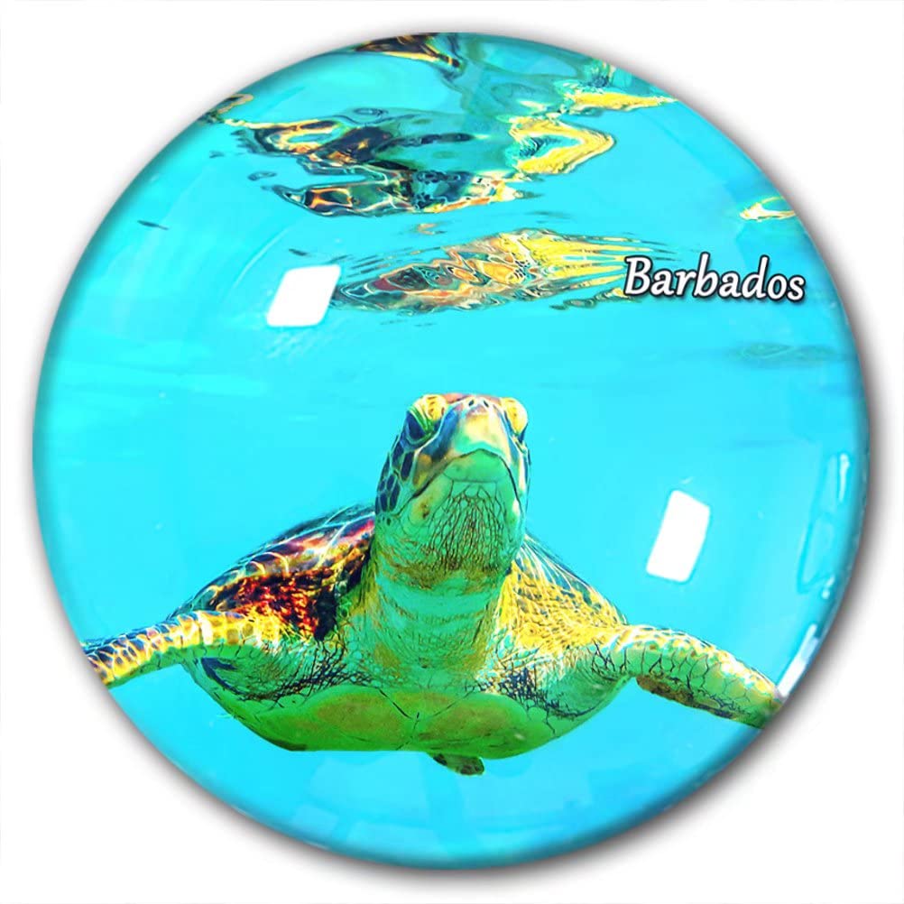 Lywallca Barbados-0353 Barbados Fridge Magnet Refrigerator Stickers Decorative Magnet Travel Souvenir Crystal Glass