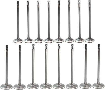DNJ VK164312 Exhaust Intake Valve Kit for 2013-2020 Ford Escape, Fiesta, Fusion 1.5L-1.6L L4 16V DOHC 1499cc