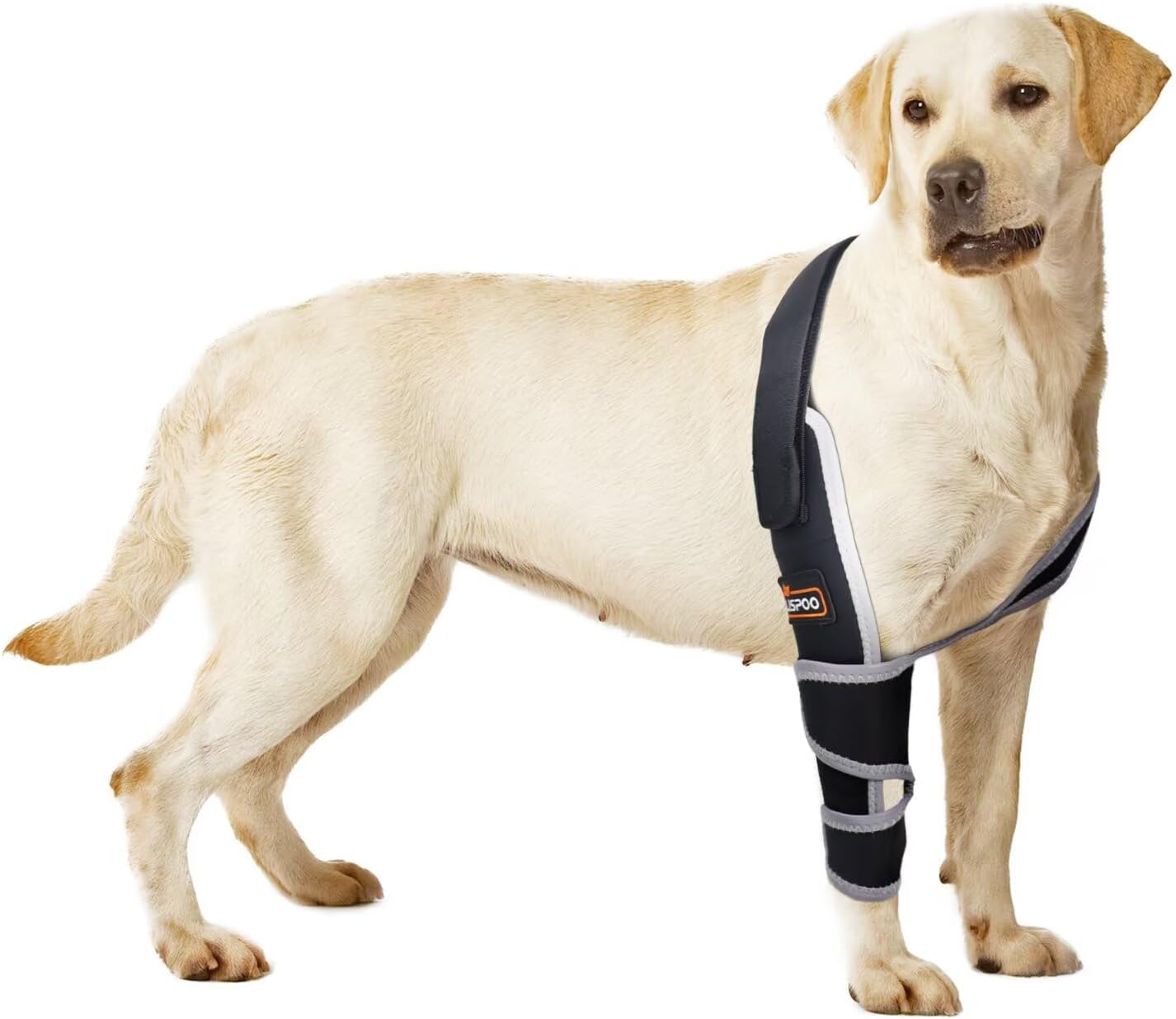 Dog Elbow Protector Elbow Dysplasia Brace Hygroma Pads Shoulder Brace Support Protection for Front Legs Calluses Dog Elbow Pads for Arthritis Elbow Protection L-Right Leg
