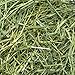 Rabbit Hole Hay - Ultra Premium Coarse Timothy Hay for Small Pets - 5 lb Box - Hand-Selected