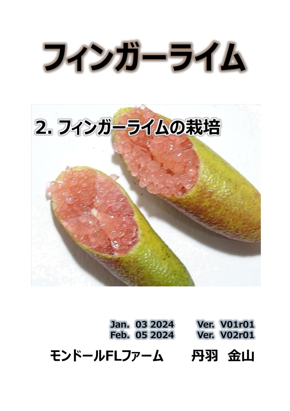 ヒデ【プロフ必読】フィンガーライム5種類 フィンガーライム苗29品種紹介【偽物に注意して苗は購入】【人気