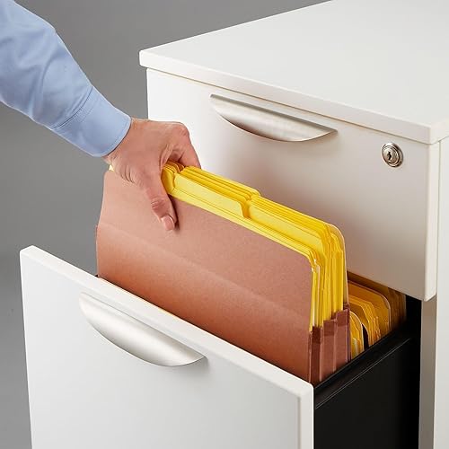 Miniatura 4 de Staples Bolsillo reforzado para archivos, expansión de 5 1/4 pulgadas, tamaño carta, marrón, 20/cartón (ST418335-CCVS)