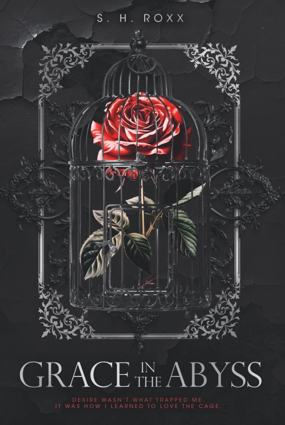 Grace In The Abyss: Dark Romance