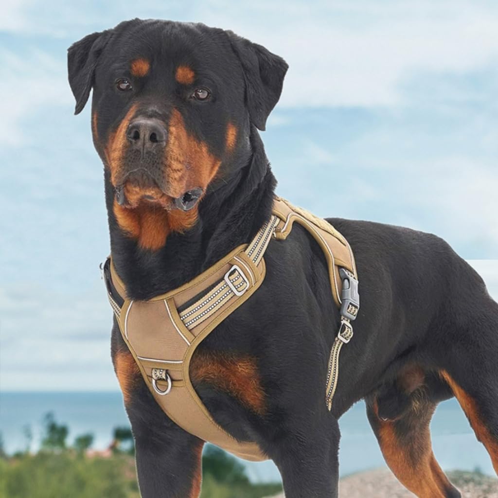 Arnés cómodo para perros pequeños, medianos y grandes