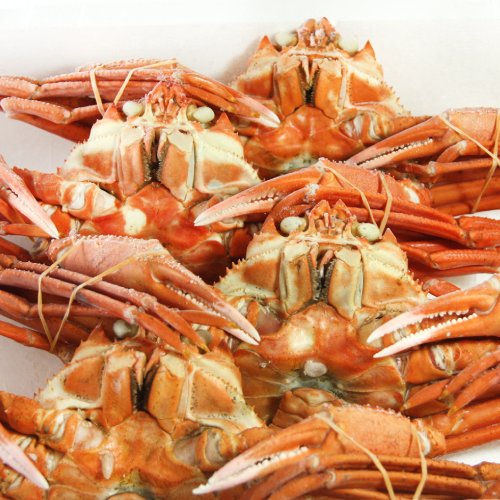 稚内産ベニズワイガニ姿 詰め合せセット