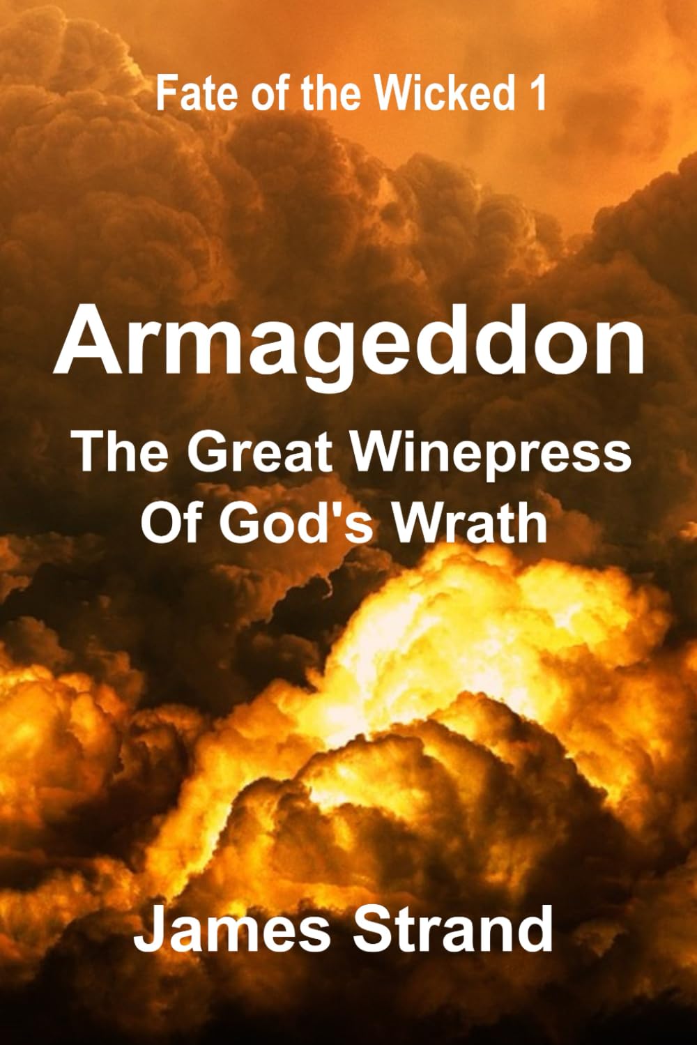 Armageddon: The Great Winepress of God's Wrath: 1 (Fate of the Wicked)