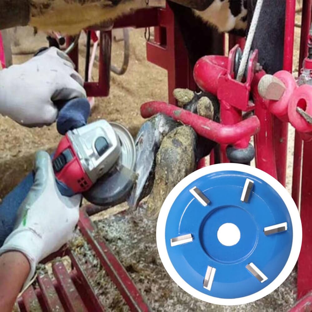Disque de Coupe pour Chevaux, Chèvres, Bétail - Meulage et Polissage Lisse