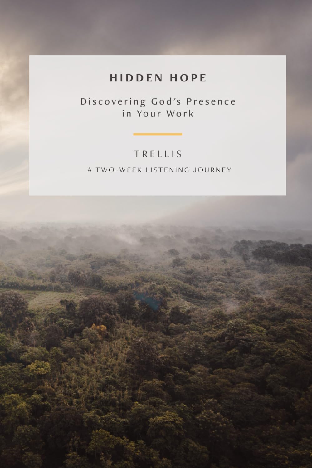 Hidden Hope: Discovering God's Presence in Your Work: Trellis: A Two Week Journey