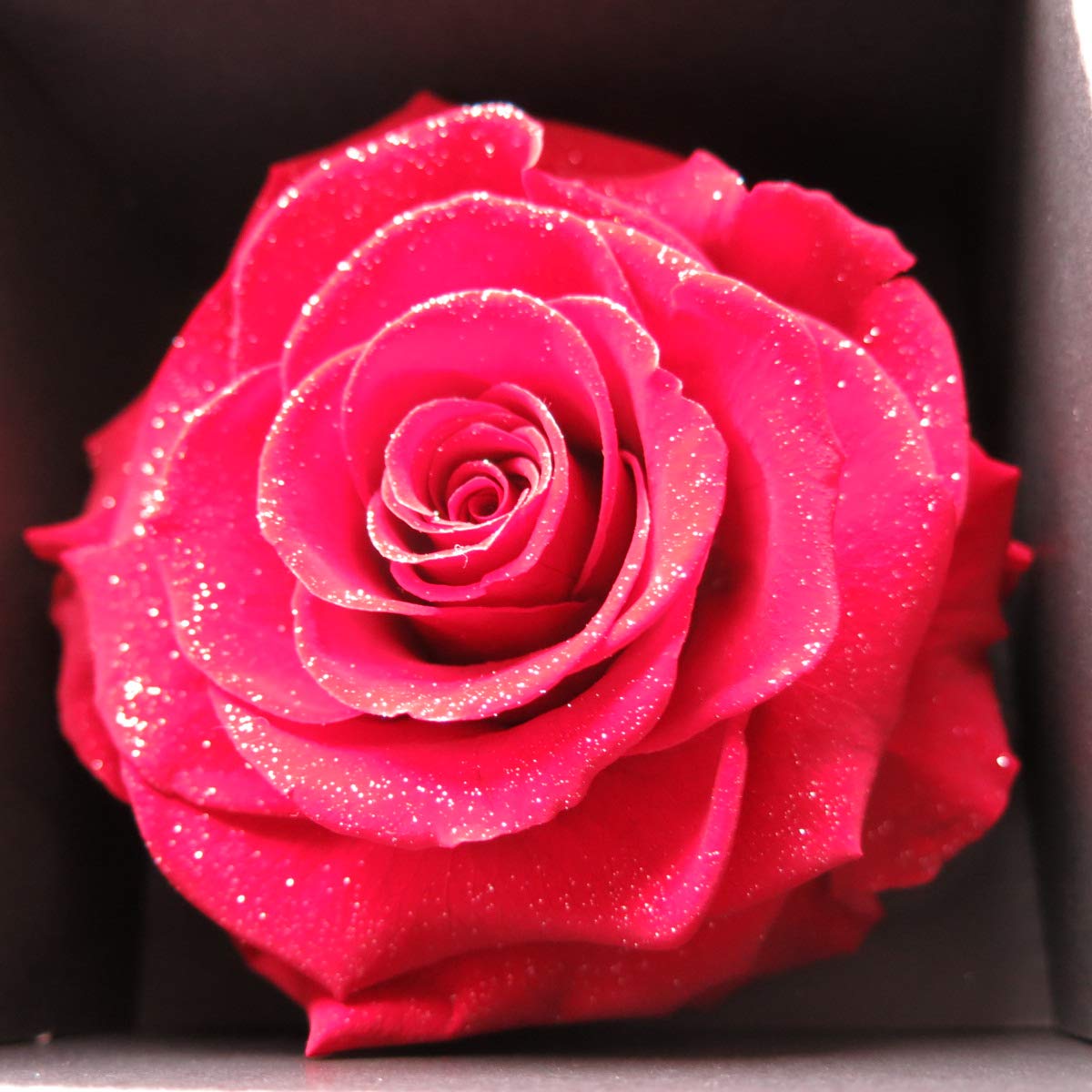 Amazon | 赤バラ プリザーブドフラワー フラワーギフト ダイヤモンド