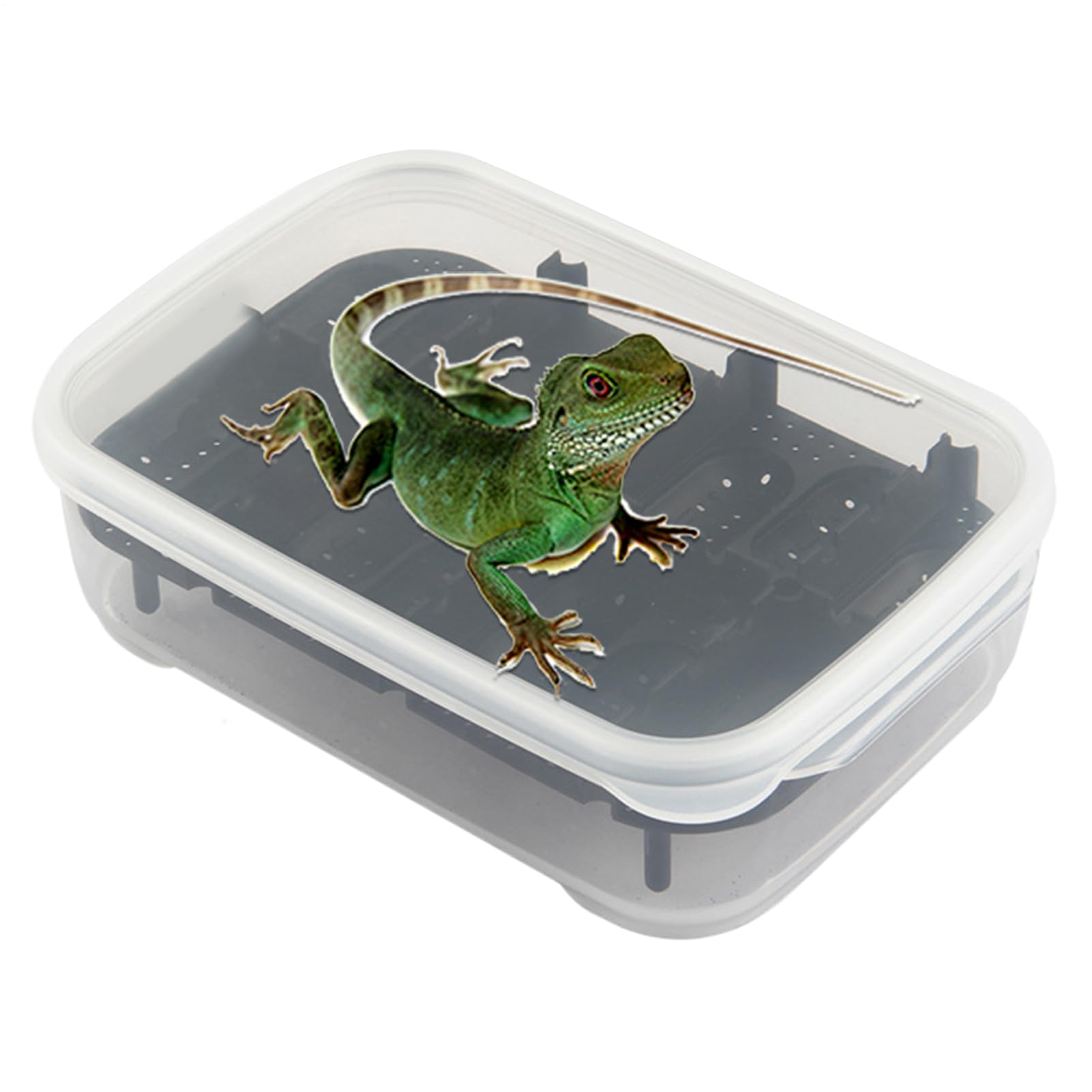 Snake Terrarium, 14 siatek Gecko Hatching Basin, Transparent Breeding Box, Compact Reptile Habitat Container, 7,09 x 5,12 x 1,97 , do użytku w górach, Scorpion and Indoor Breeder