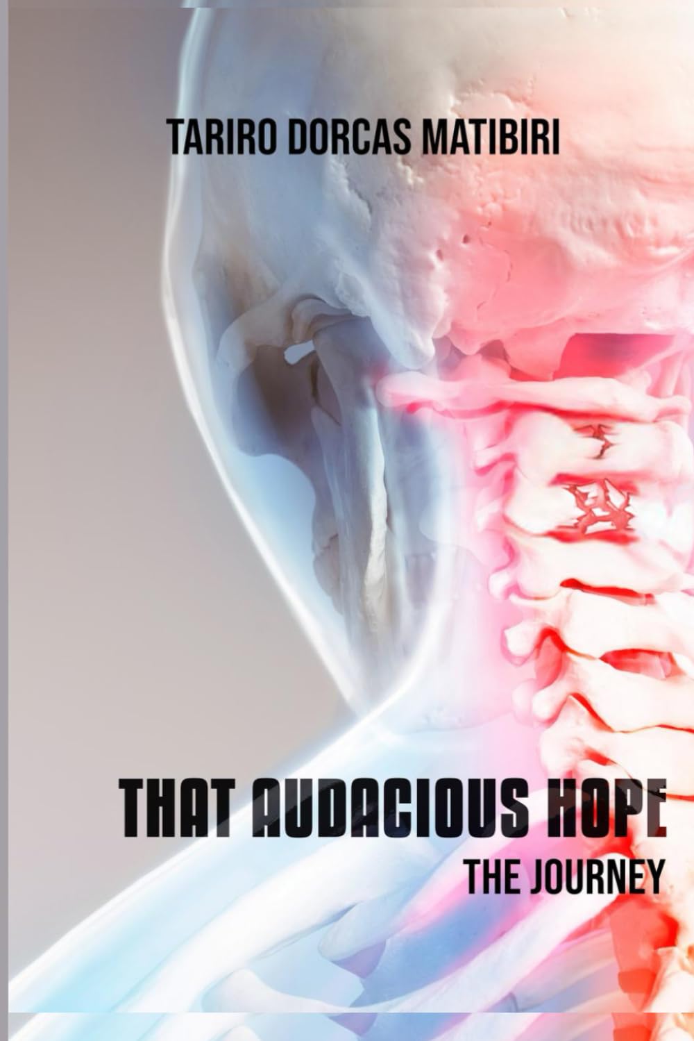 That Audacious Hope: The Journey