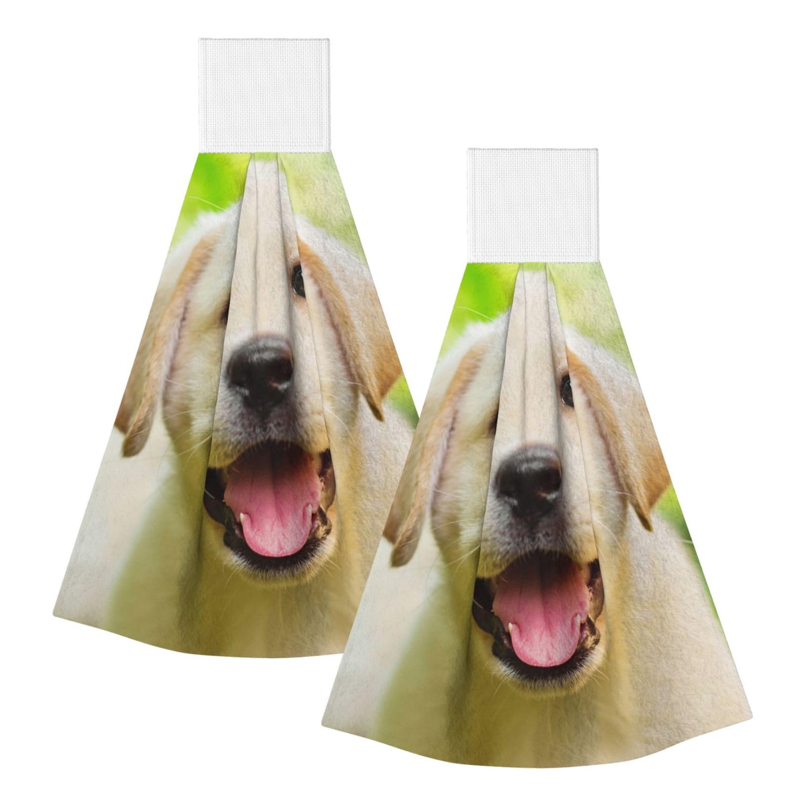 DOPKLNA Labrador Retriever Puppy Dog, 2 Pcs Hanging Coral Fiber Hand Towels for Bathroom, Absorbent Kitchen Towels