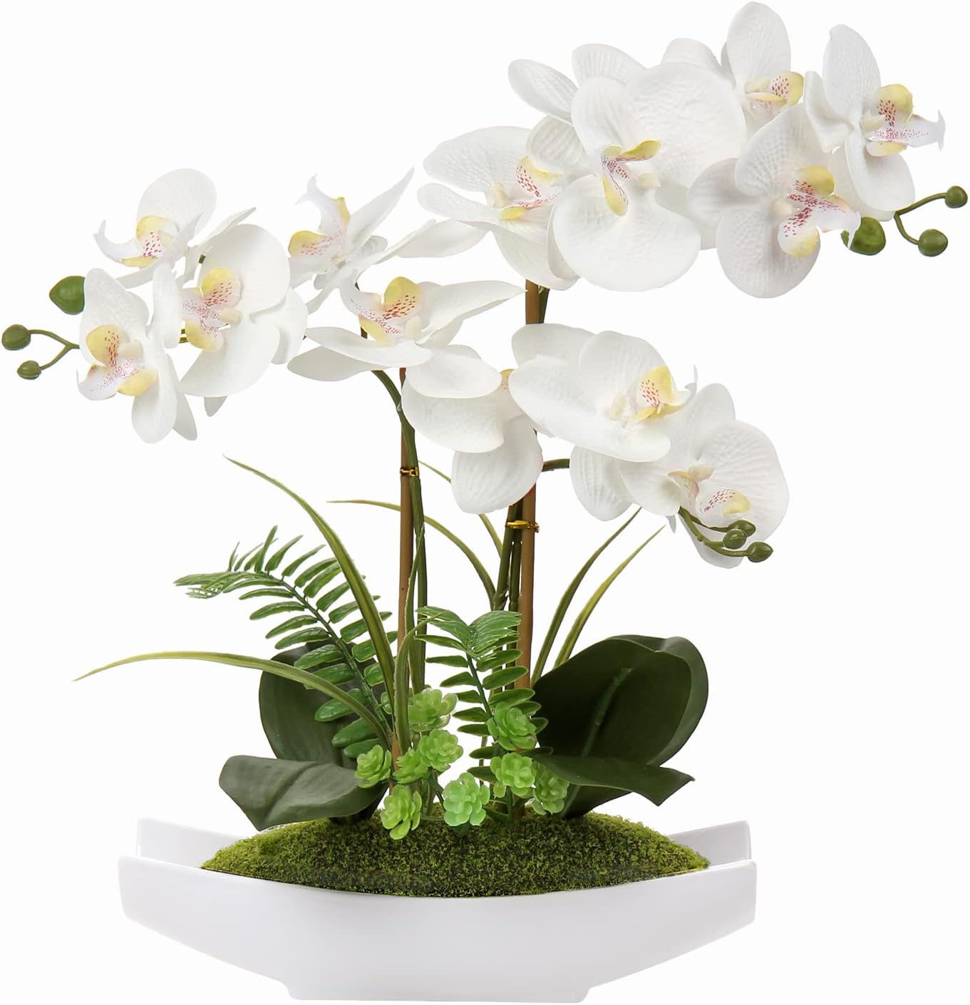 Artificial Phalaenopsis Orchid Arrangement Silk Plastic in White Ceramic Pot for Home Office Wedding Decoration