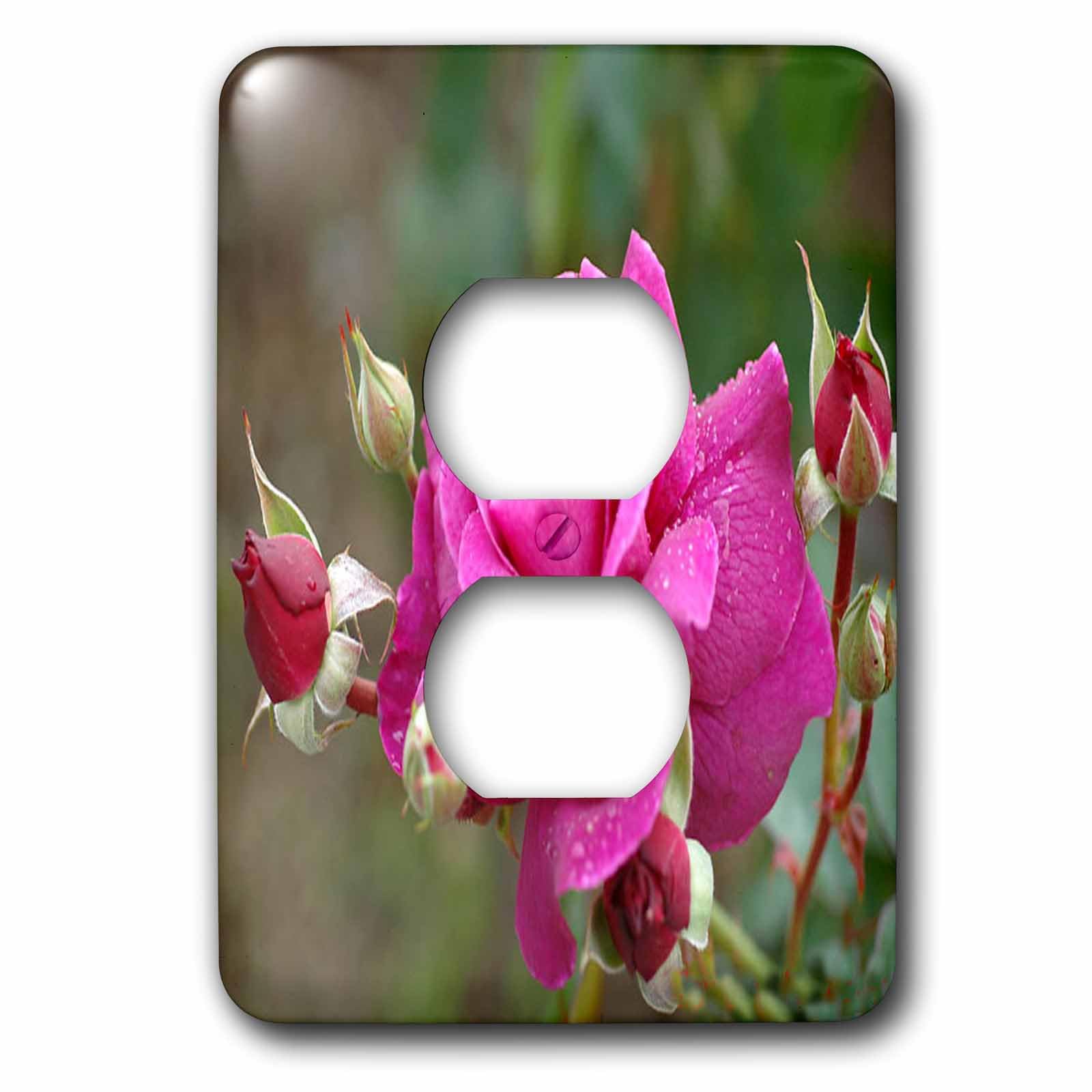 3dRose Lsp_4361_6 Rose Rose 2 Prises - Plaque interrupteur double face