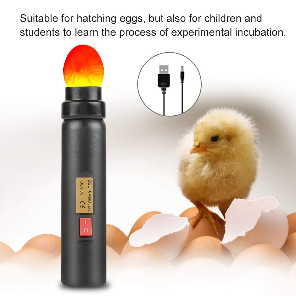 Aramox Lampe Pour Mirer Les Oeuf Testeur de D'oeuf, Egg Candler Tester, Lampe de Bougie à LED Froide Haute intensité, Rechargeable pour Tous Types Oeuf Couveuse ou Incubateur Surveiller le Développeme