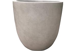 Kante Concrete Planter: Durable Elegance for Indoor and Outdoor Spaces