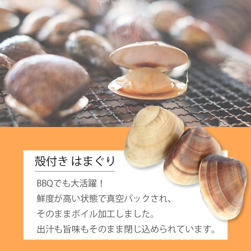 Amazon.co.jp: 殻付き はまぐり Lサイズ 1㎏(20～30粒) 塩付き 砂抜き