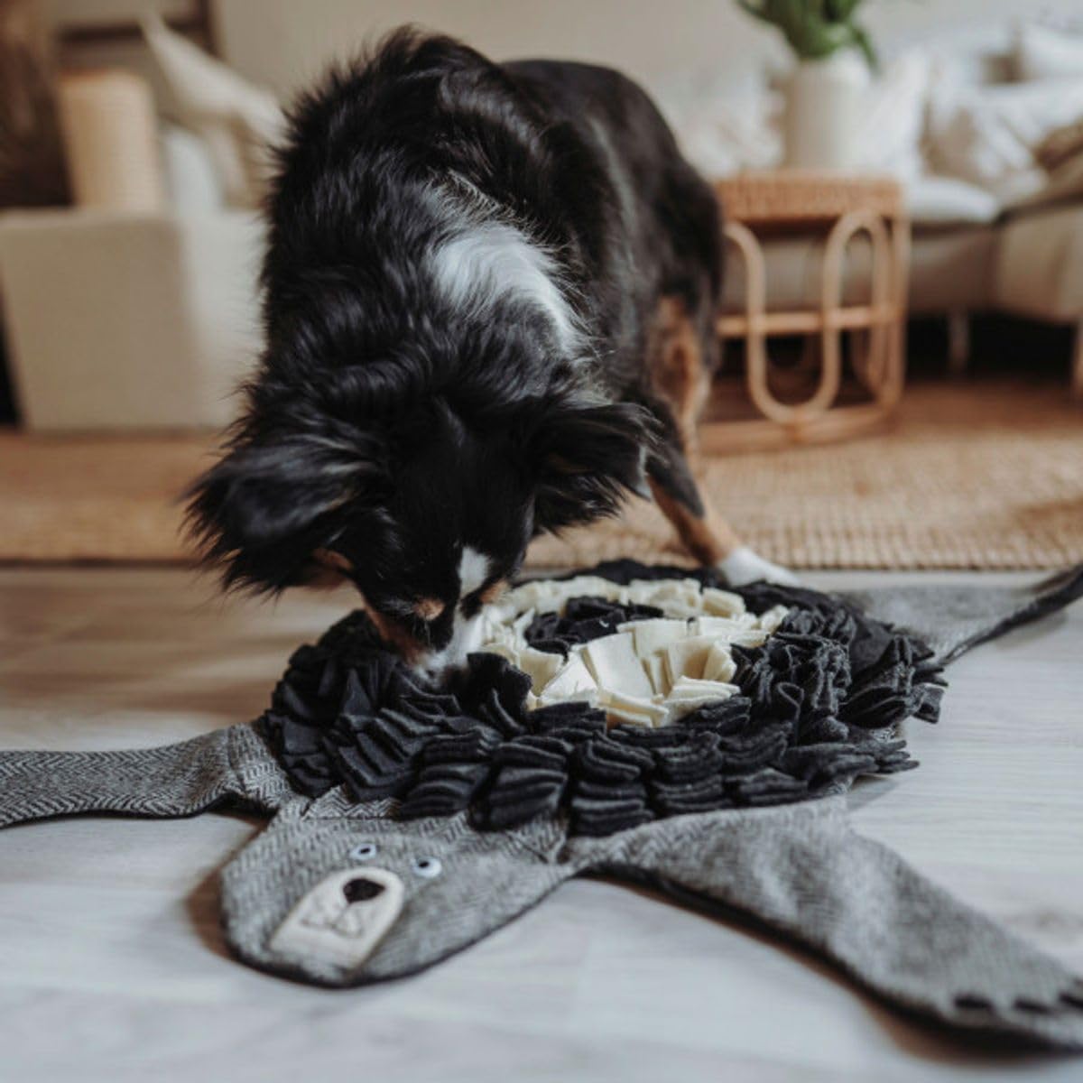 HUNTER Hundespielzeug Billund Farbe Bär Schnüffelteppich, Größe 75 cm