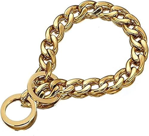 Miniatura 3 de Collar dorado para perro, cadena NK P, resistente, acero inoxidable, collar de entrenamiento para caminar, para perros pequeños, medianos y grandes,