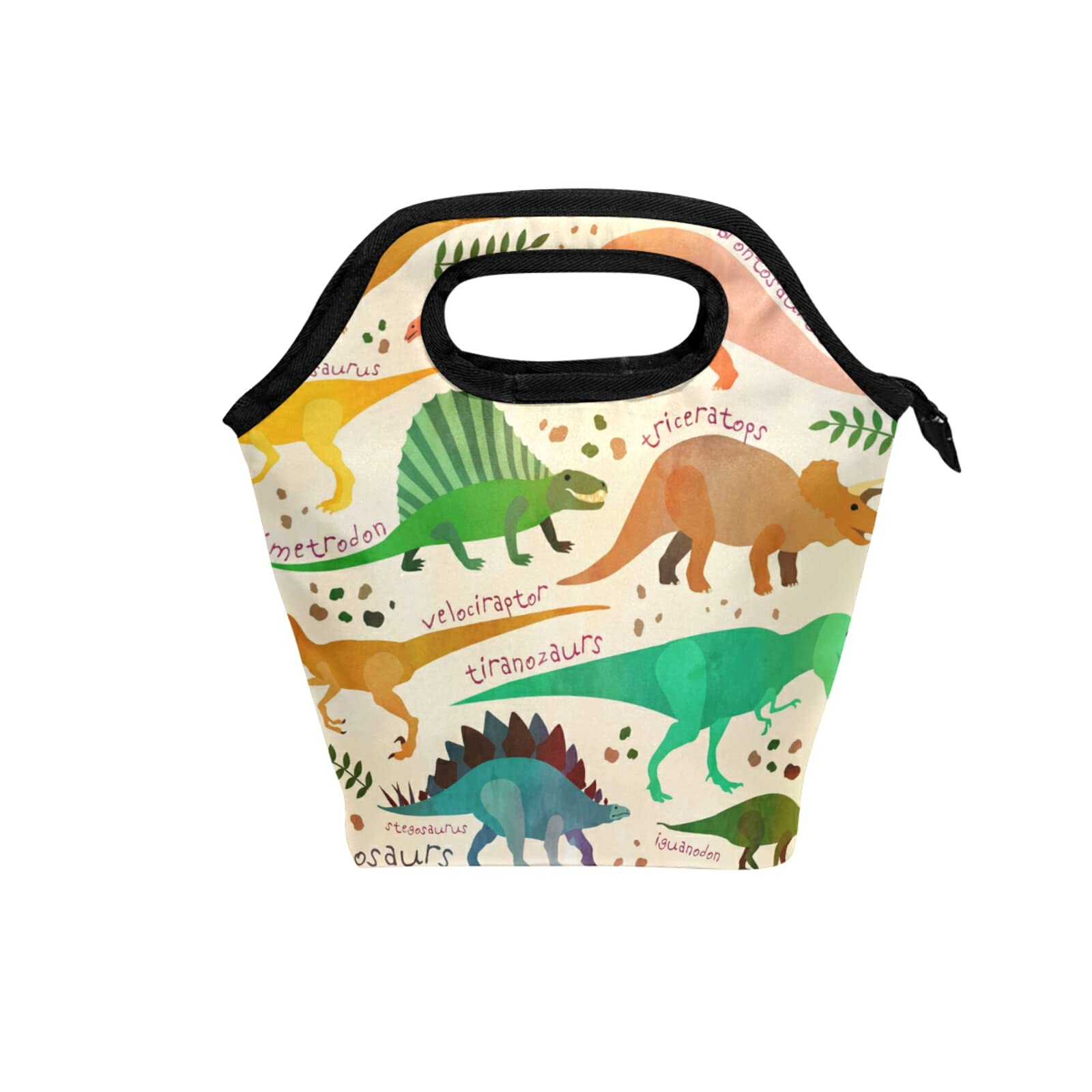 Sac À Déjeuner Boîte À Déjeuner Halloween Squelette Dinosaure