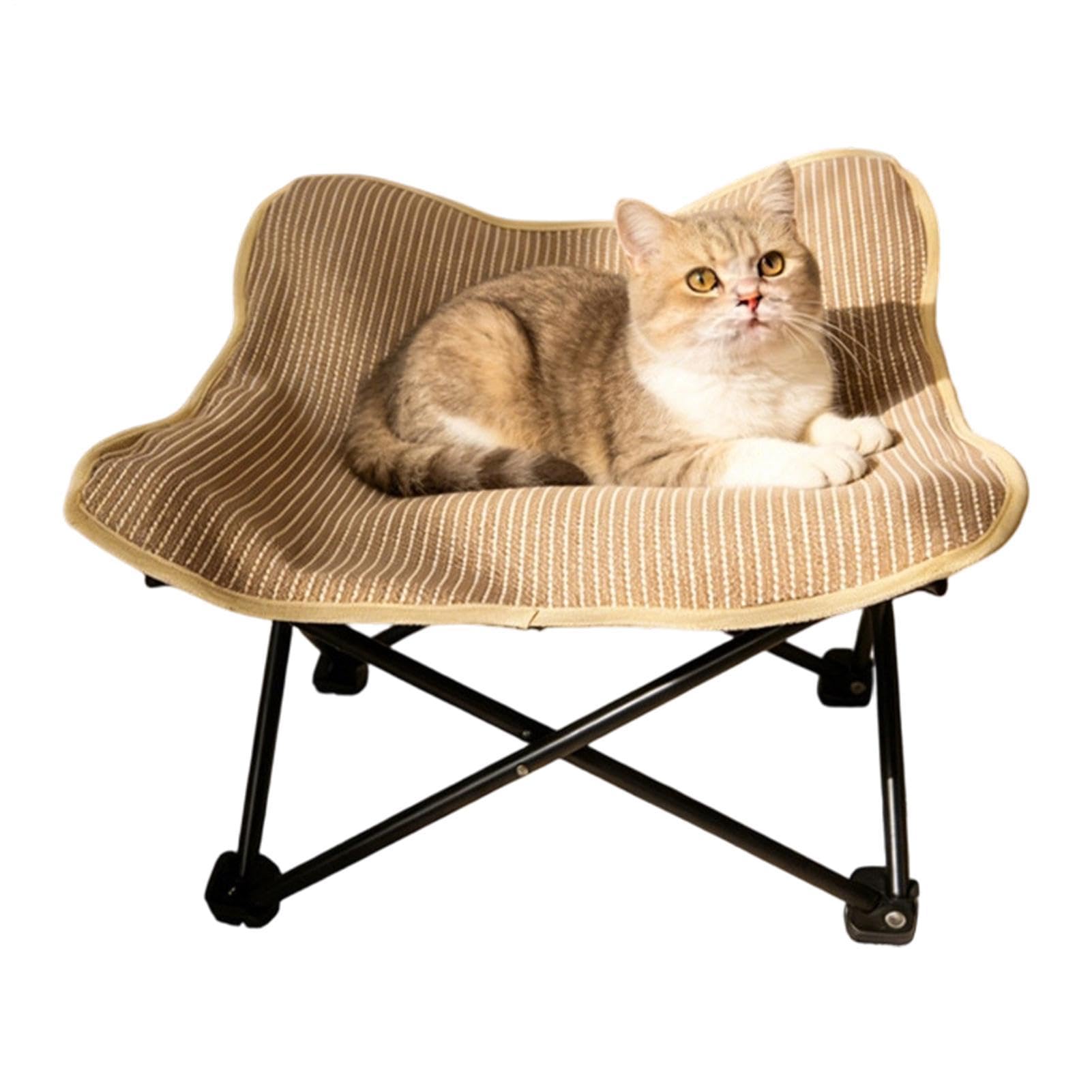 Cama raspadora para gatos con marco metálico resistente de salón