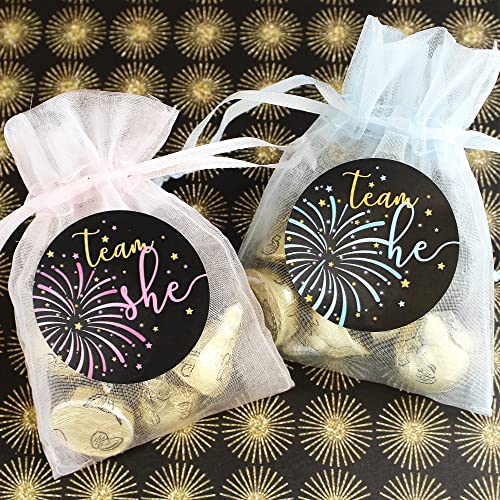 What Will Our Little Firework Be Gender Reveal Party -Team He or Team She - 40 Stickers