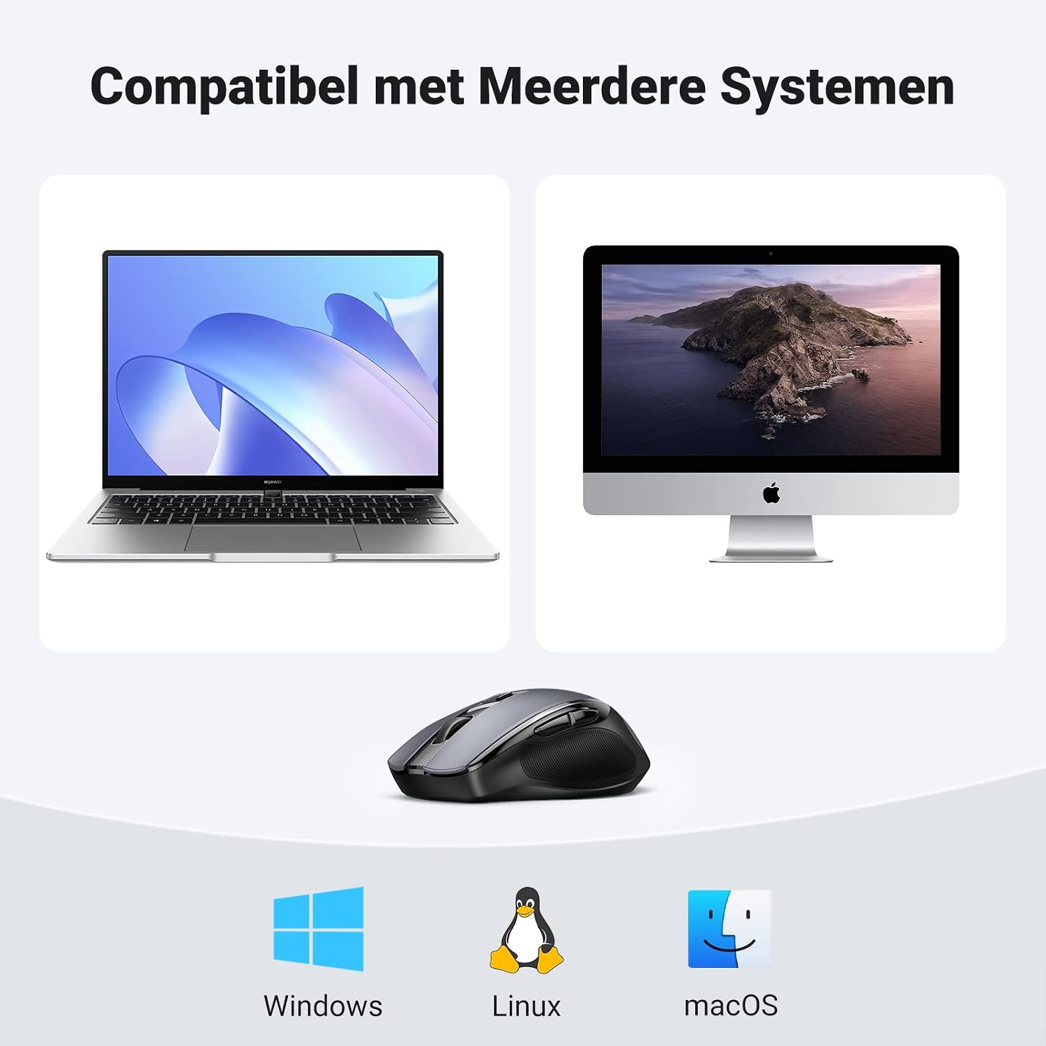 Vue 6
