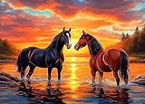 Puzzles for Adults 1000 Pieces, Sunset Horses in Water Romantic Landscape Puzzle, 28x20 Inch Challenging Animal Art Puzzle, Premium Family Game Decor & Gift