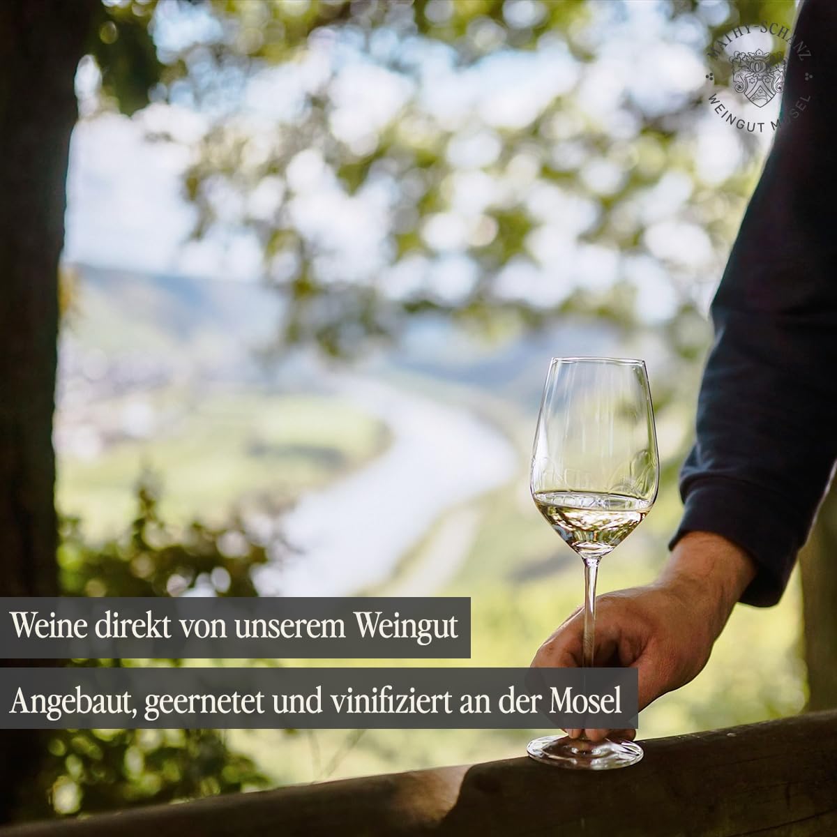 Weingut Mathy-Schanz - Riesling Feinherb (6 x 0,75l)