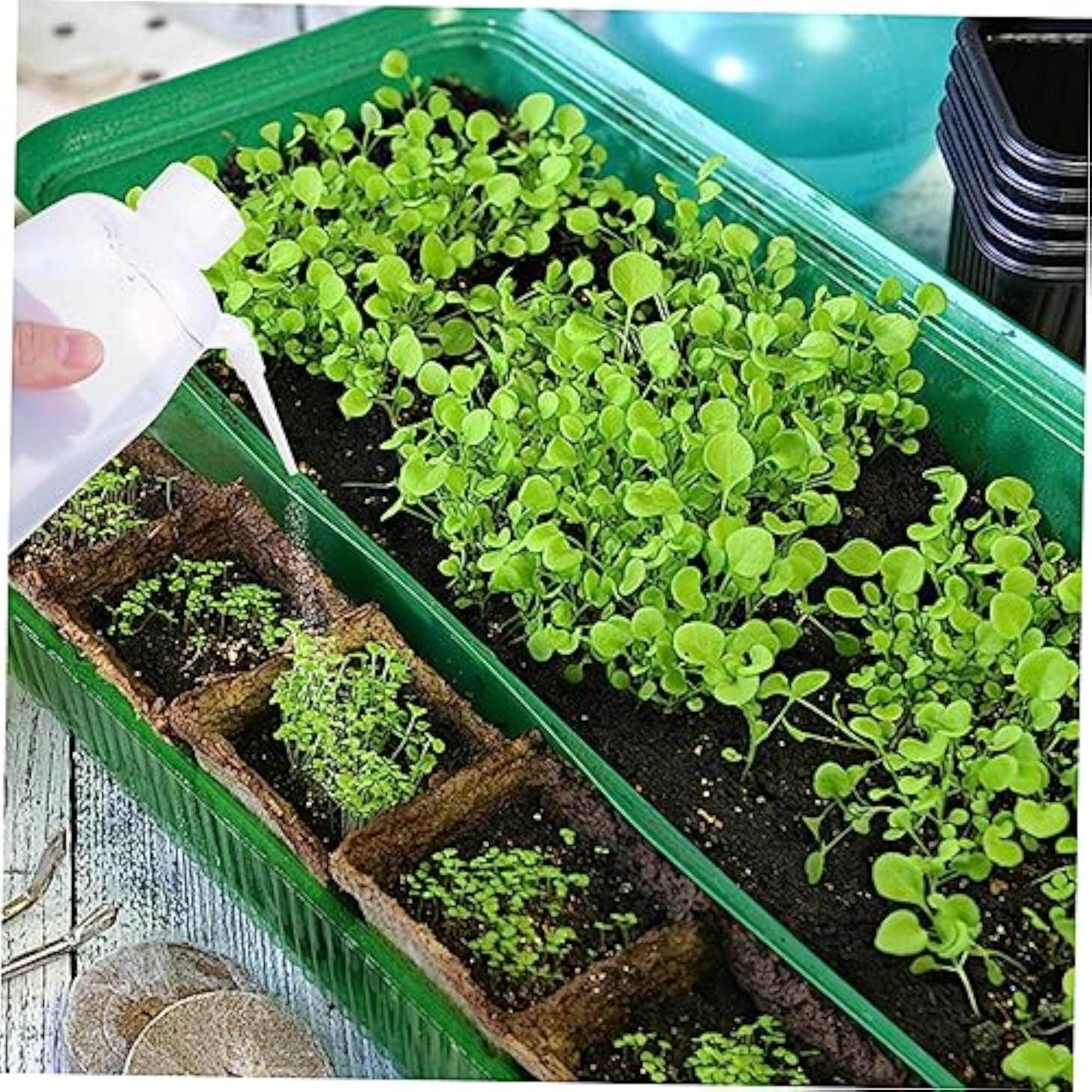 6pcs Portable Plastic Wash Bottle, Lightweight
