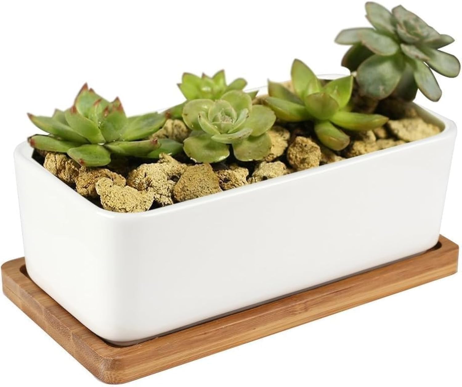 TENLOY Ceramic Plant Pots, Decorative White Rectangular Succulent Flower Pot/Cactus Indoor Plants Pot with Bamboo Tray