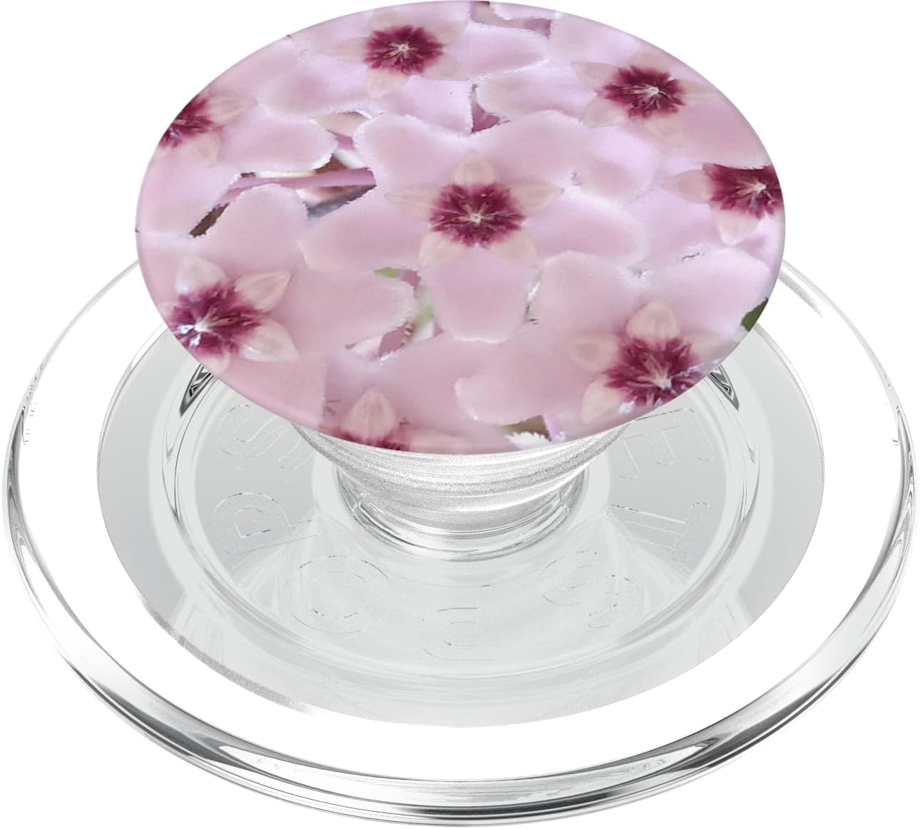 Nature's Beauty Collection PopSockets MagSafe PopGrip for iPhone