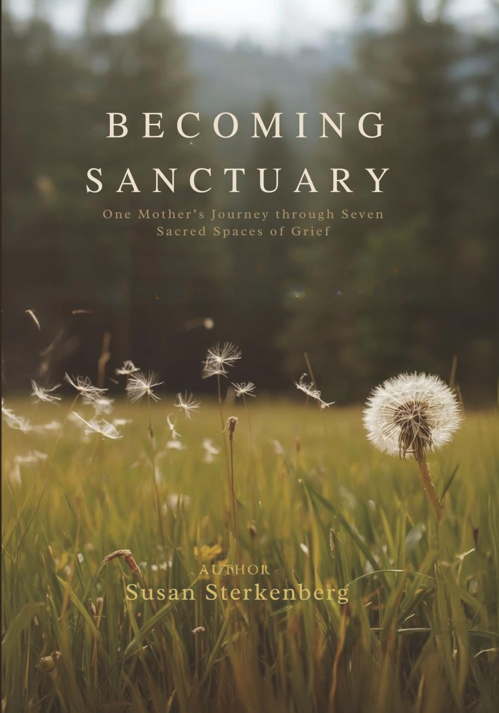 Becoming Sanctuary: One Mother's Journey through seven Sacred Spaces of Grief