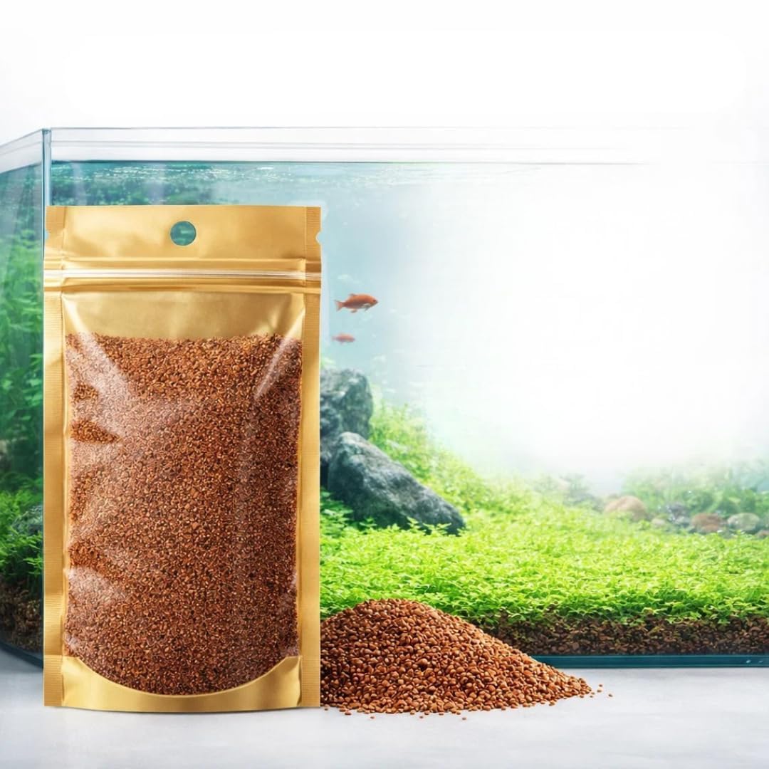 Petzlifeworld Fish Tank Decoration Landscape Ornament Aquatic Double Leaf Aquarium Plants Seeds Live Plant (Small)