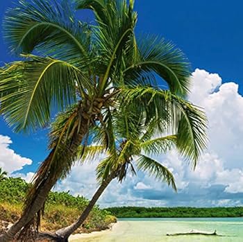 Amazon | 2000ピース HEYE Puzzle ヘイパズル 29860 Ed