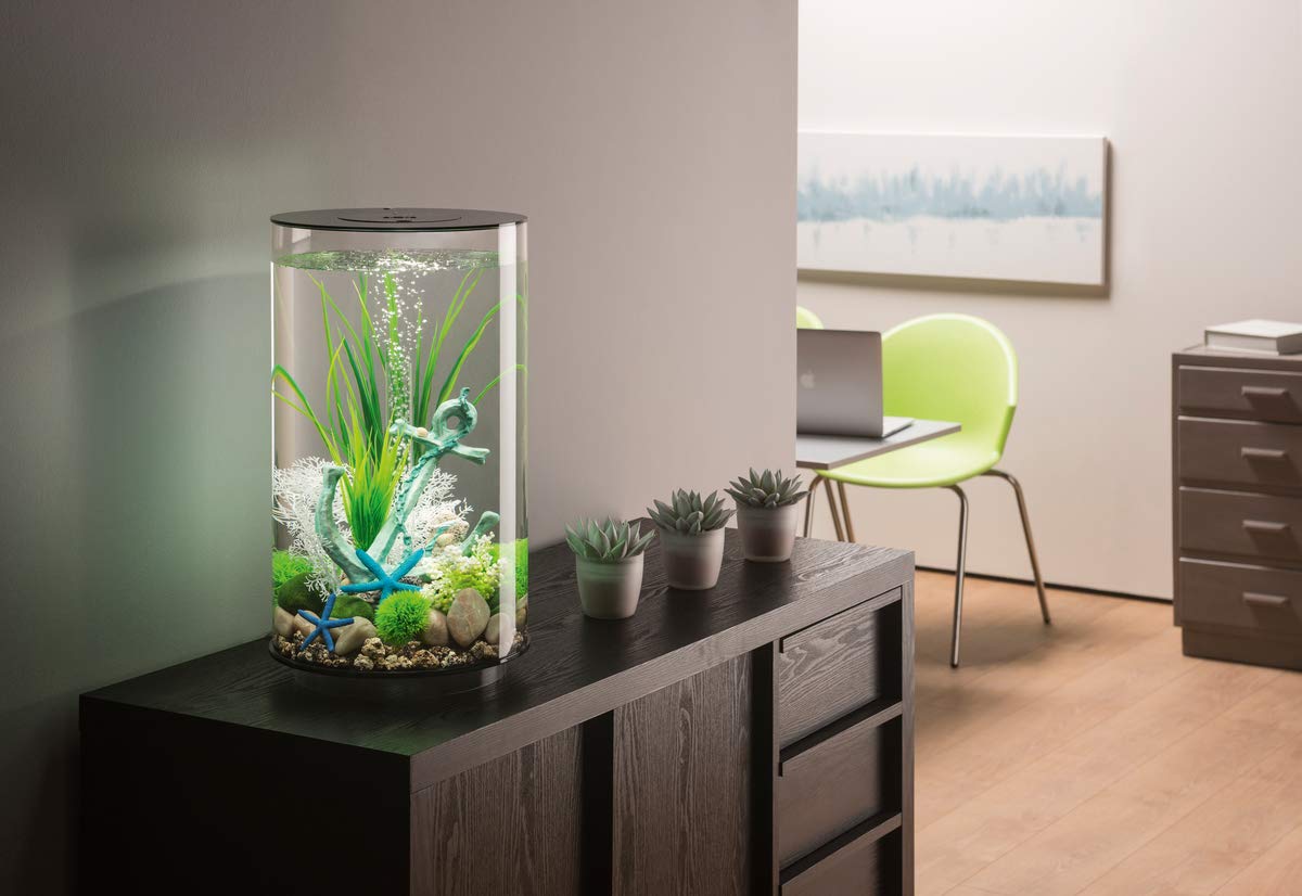 biOrb 72066 TUBO 30 LED, negro (30 L) - acuario decorativo de 360 grados | set completo de cristal acrílico con iluminación LED, sistema de filtrado y cerámica de fondo