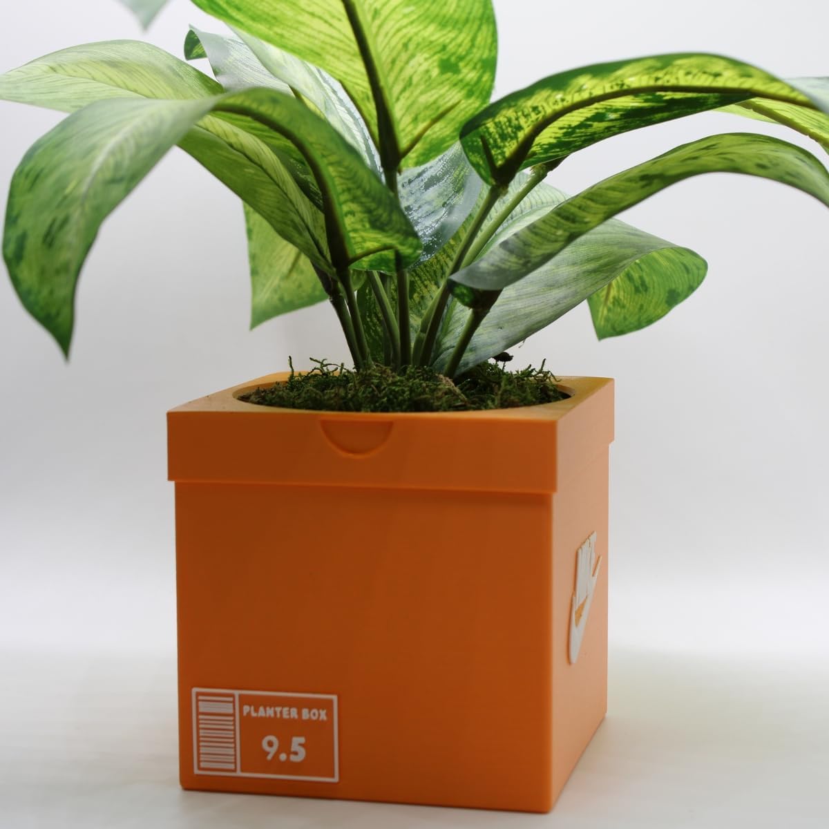 Sneakers Box Planter Pot 3D Printed - Orange Sneakers Box Decor- Plant Pot for Indoor Plants - Unique Planter for Indoor with Drainage Hole- Made in USA
