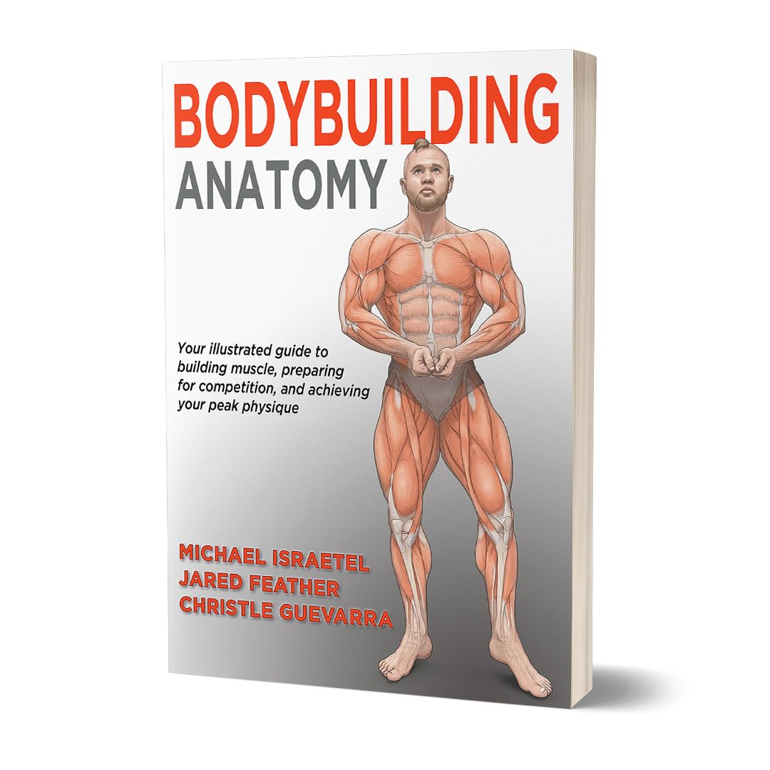 Bodybuilding Anatomy