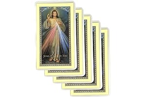 The Chaplet of The Divine Mercy Laminated Holy Card Set of 5