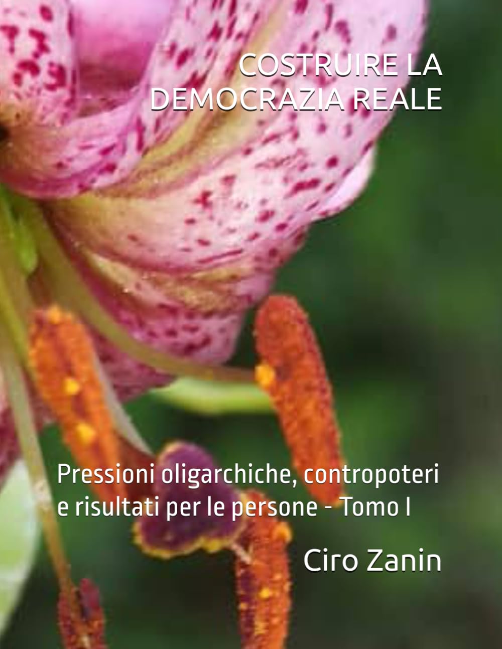 COSTRUIRE LA DEMOCRAZIA REALE: Pressioni oligarchiche, contropoteri e risultati per le persone - Tomo I