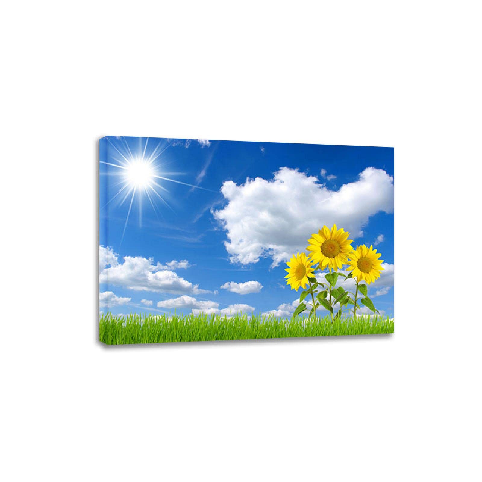 Campo de flores nórdicas girasol sol lienzo pintura paisaje pared arte imagen para decoración para sala de estar carteles e impresiones 70x98cm enmarcado