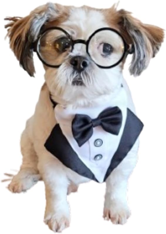 Conjunto de Fantasia para Cães com Óculos Retrô e Gravata Borboleta, Modelo C03, Pequeno a Médio Porte