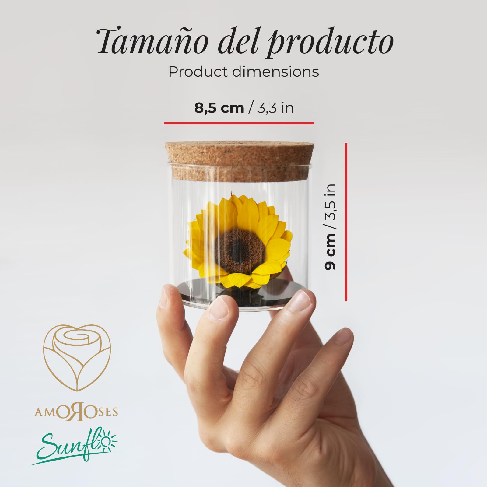 Amoroses Sunflo – Girasol estabilizado flor eterna en tarro de cristal | Idea regalo