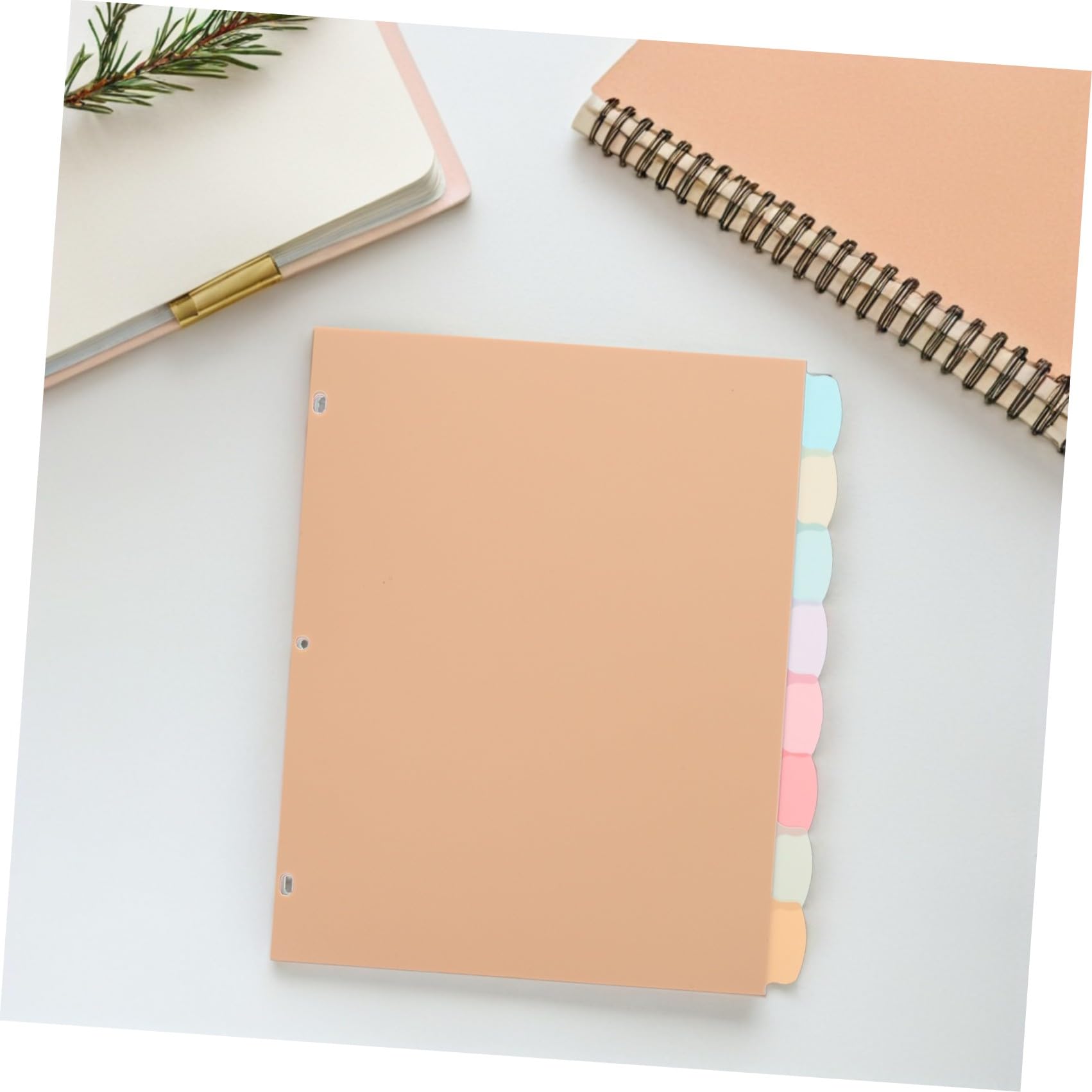 OSALADI 48 Pezzi Divisori per Raccoglitore Mobili Colorati Formato per Ufficio e Scuola Materiali Resistenti e Facili da Scrivere