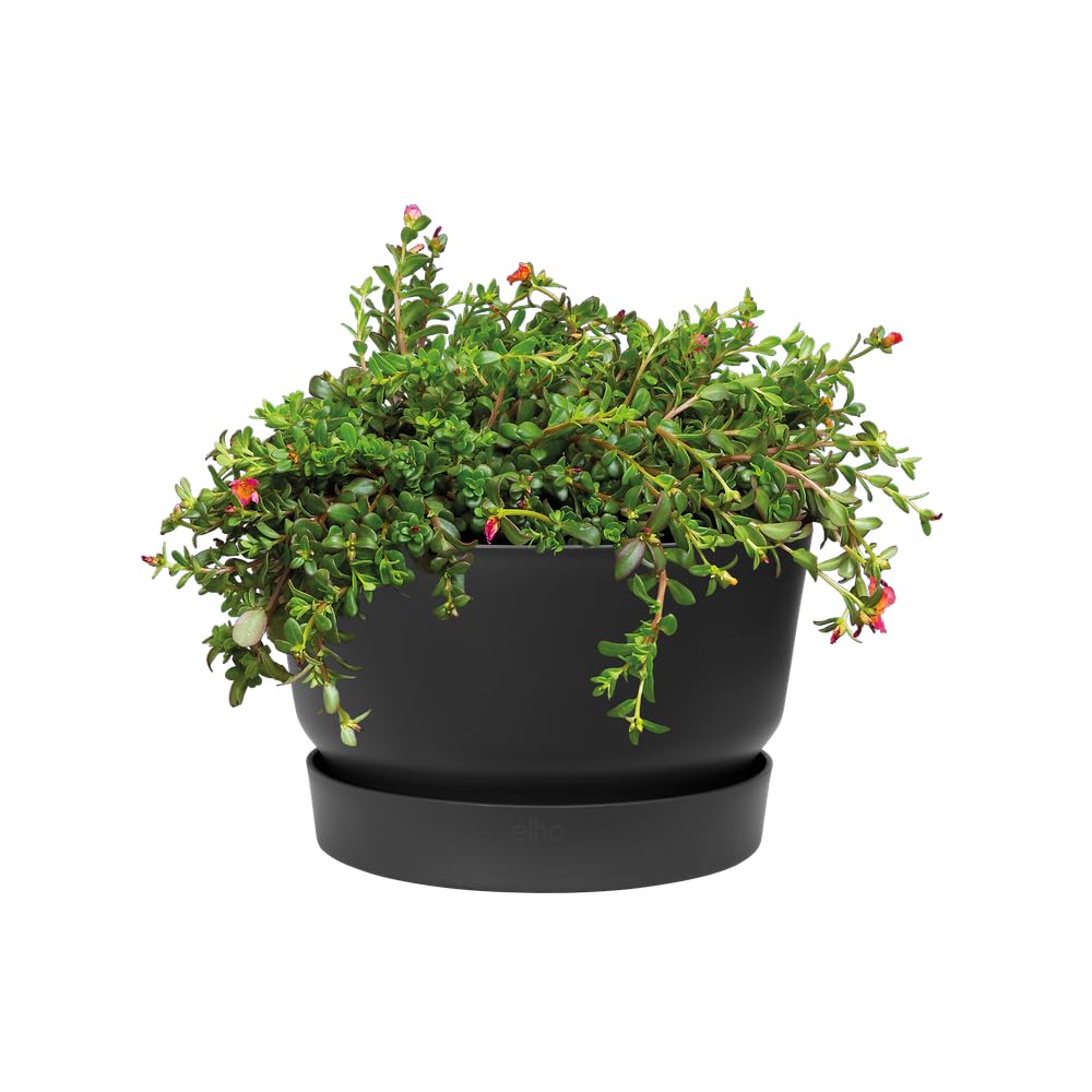 elho Greenville miska 33 – doniczka na kwiaty do użytku na zewnątrz – 100% plastik z recyklingu – Ø 32,5 x wys. 19,4 cm – czarna/czarna Living