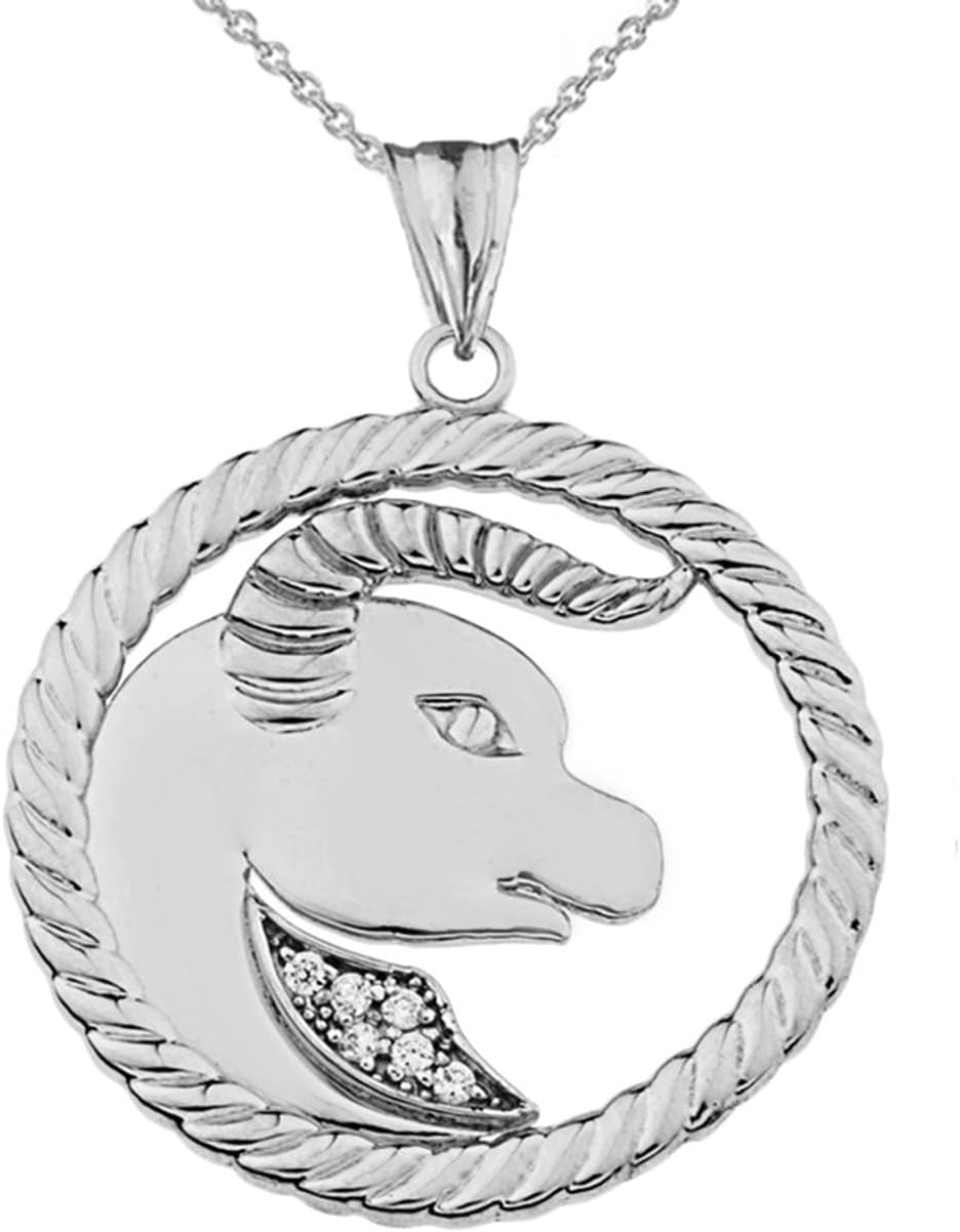 Sterling Silver 12 Astrological Diamond Zodiac Sign in Rope Pendant Necklace