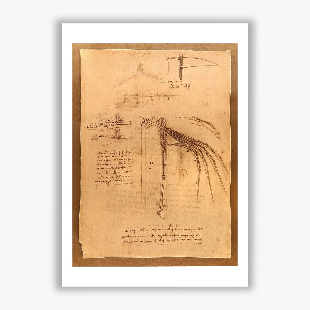 Arte de decoración del hogar premium: lámina giclée grande Aile Mobile de Leonardo Da Vinci 2
