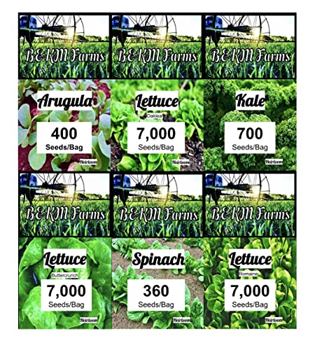 Lettuce & Salad Family Variety Seed Pack Over 22,000 Seeds! Non-GMO Heirloom Seeds for Planting The Perfect Indoor/Outdoor Garden, Arugula, Kale, Spinach & 3 Types of Delicious Lettuce. by B&KM Farms